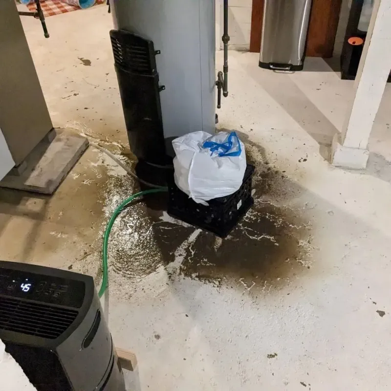 Sewage Backup Cleanup Service in Dunsmuir, CA